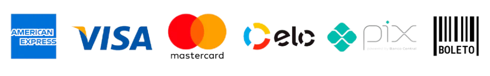 Ícones dos métodos de pagamento aceitos: cartões de crédito, Pix e boleto.